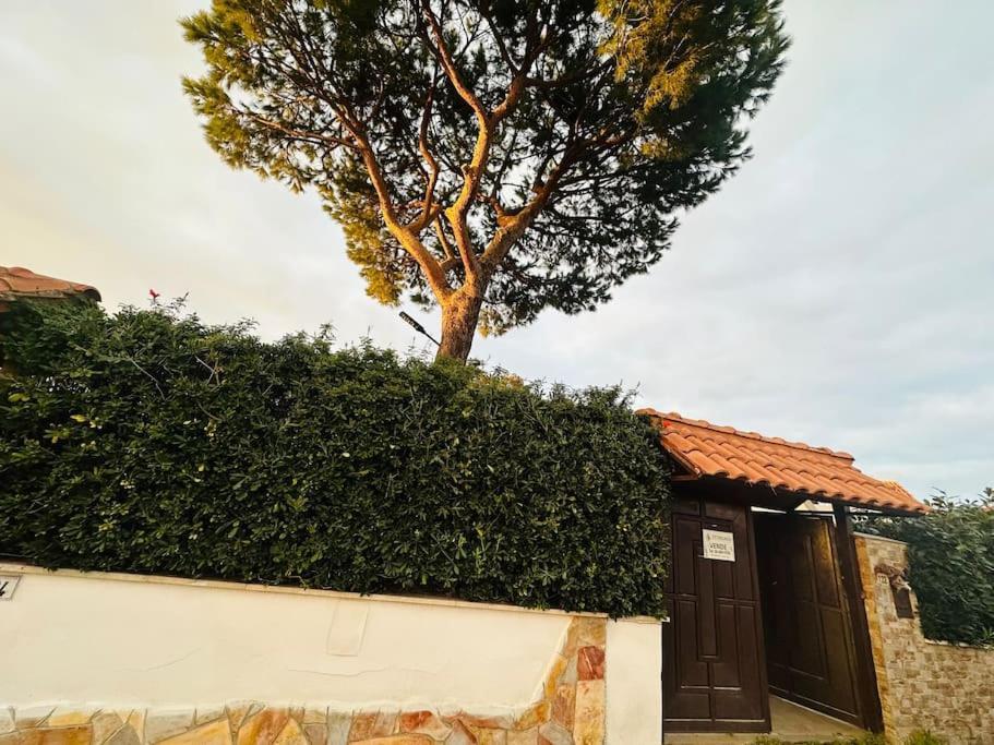 Vila Fontana House Marina di Cerveteri Exteriér fotografie